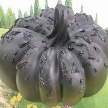 تحفه يقطين اسود فايبر فخمه -4580