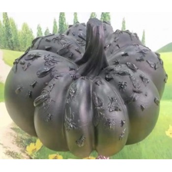 تحفه يقطين اسود فايبر فخمه -4580