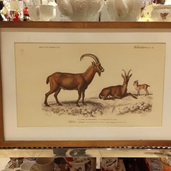 لوحه جداري كانفس اطار خشب 4445-3-