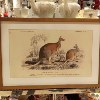 لوحه جداري كانفس اطار خشب -4445-1