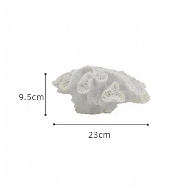 تحفة شعب مرجانيه مثالي لديكور المنزل 7588