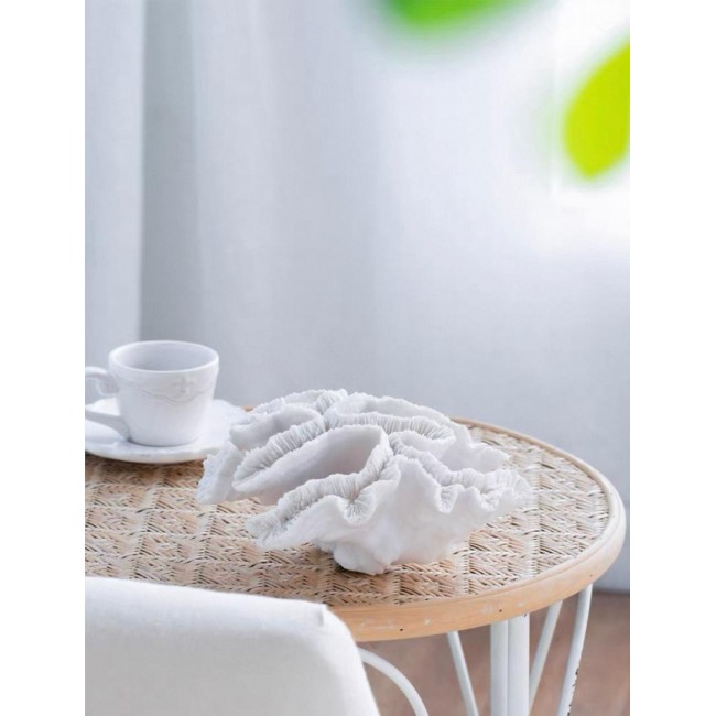 تحفة شعب مرجانيه مثالي لديكور المنزل 7588