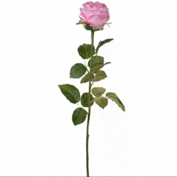 غصن ورد أنيق عالي الجوده 7697