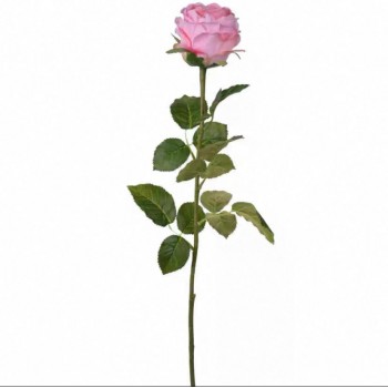 غصن ورد أنيق عالي الجوده 7697