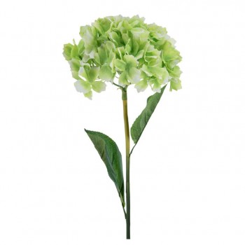 غصن ورد أخضر عالي الجوده 7691