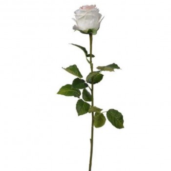 غصن ورد جوري فاخر7696