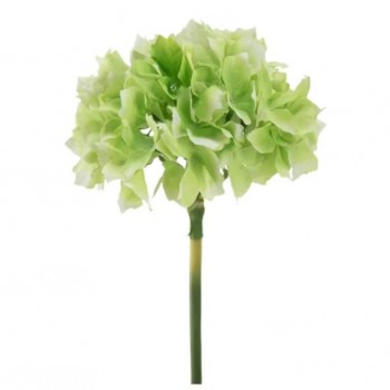 غصن ورد أخضر جميل 7685