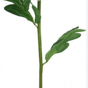 غصن ورد أبيض عالي الجوده 7699