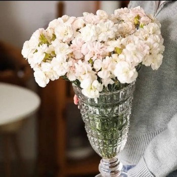 فازه  كريستال شفاف نمط اروبي انيق- 5569