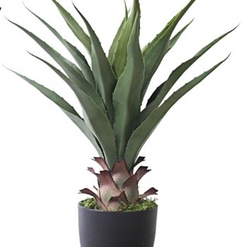 نبتة اوليفيرا صناعي ارتفاع 60cm