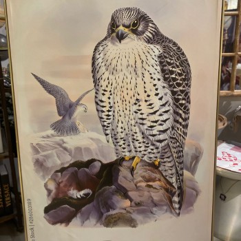 لوحه بإطار خشبي مذهب -k7 لوحه بإطار خشبي مذهب -k7