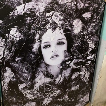 لوحه -L0251 لوحه -L0251