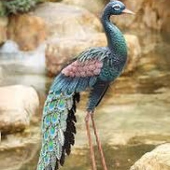 تحفة طاوس معدني بالوان الطبيعه 