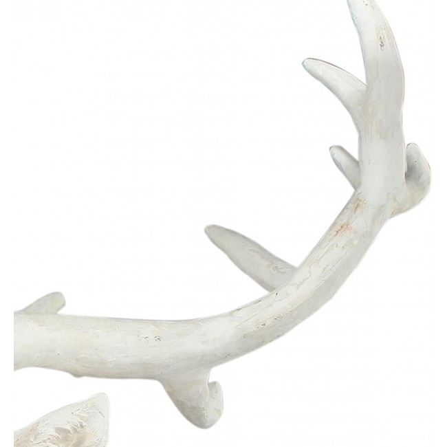 ديكور جداري رأس غزال أبيض بقرون 8365 ديكور جداري رأس غزال أبيض بقرون 8365