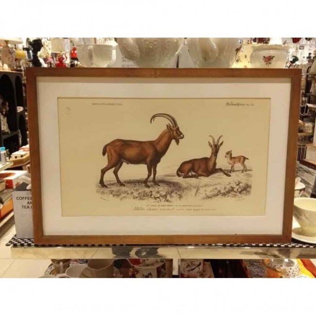 لوحه جداري كانفس اطار خشب 4445-3- لوحه جداري كانفس اطار خشب 4445-3-