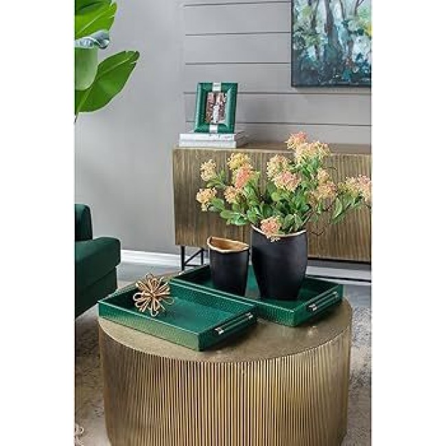 طقم صينيه تقديم باللون الاخضر الفاخر يضيف جمال لديكور المنزل العدد 2 قطع 8404