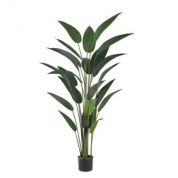 شجره لزينه باوراق خضراء برتفاع 182cm 8109 شجره لزينه باوراق خضراء برتفاع 182cm 8109