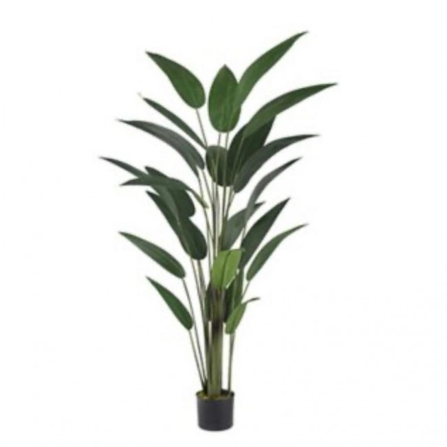 شجره لزينه باوراق خضراء برتفاع 182cm 8109