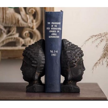 فاصل كتب بتحفة راس ملائم للمكتب 8783 فاصل كتب بتحفة راس ملائم للمكتب 8783