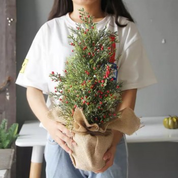 شجرة الكرز بقاعدة خيش شجرة الكرز بقاعدة خيش