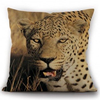 خداديه تايجر 