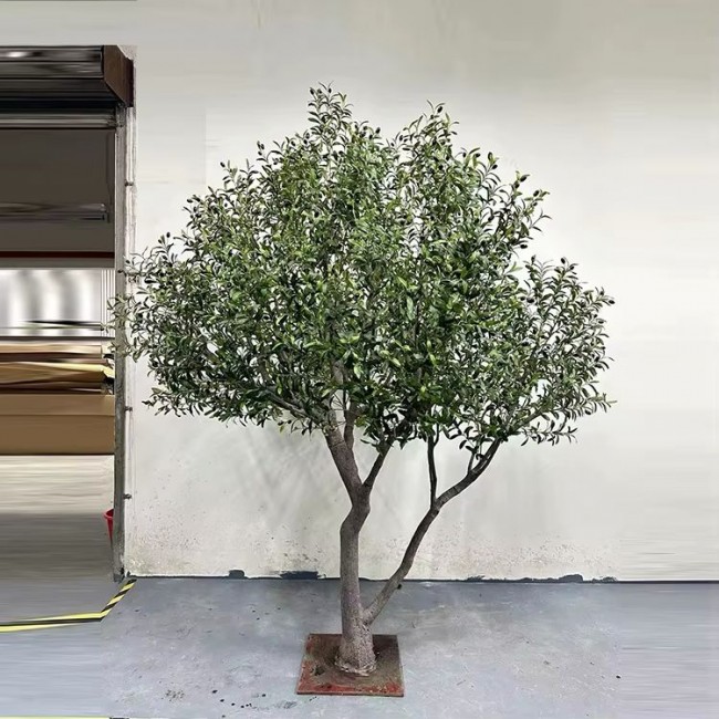 شجرة زيتون لزينه بحجم كبير برتفاع 250cm-8560